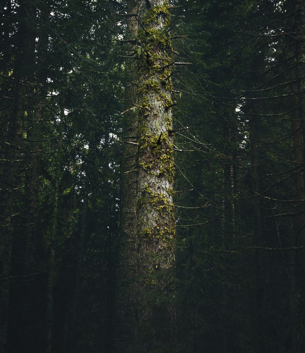 Standing by Marko Radovanovic